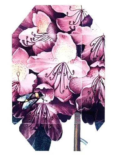 Print Collection Stella 01 (2011) by Stella McCartney bottle