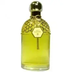 Aqua Allegoria Ylang & Vanille by Guerlain bottle