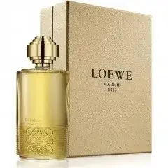 Tras la tormenta en el Jardín Botánico by Loewe bottle