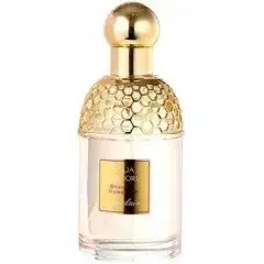Aqua Allegoria Bouquet Numero 2 by Guerlain bottle