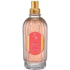 Rose Jardin Delice by L'Occitane en Provence bottle