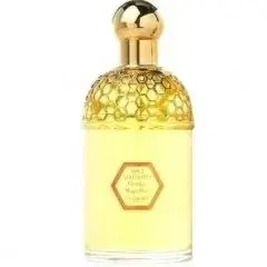 Aqua Allegoria Orange Magnifica by Guerlain bottle