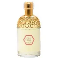 Aqua Allegoria Foliflora by Guerlain bottle