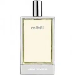 Metal by Rabanne bottle