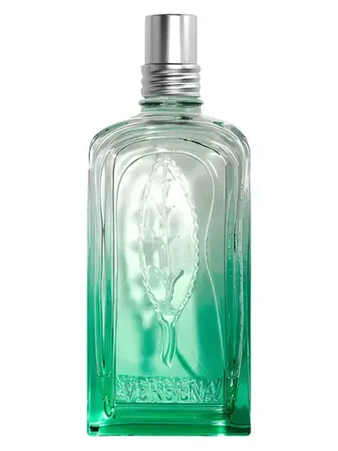 Verveine 2020 by L'Occitane en Provence bottle