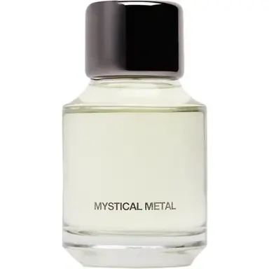 Mystical Metal by Zara bottle