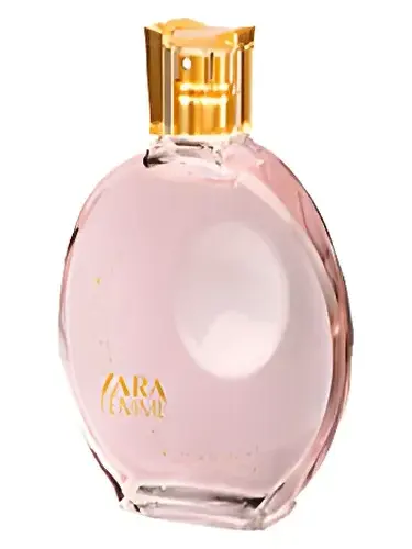 Zara Femme 2006 by Zara bottle
