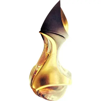 Donna Karan Parfum by DKNY bottle