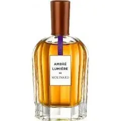 Ambre Lumiere by Molinard bottle