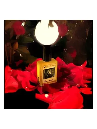 Heart of the Night by Solstice Scents bottle