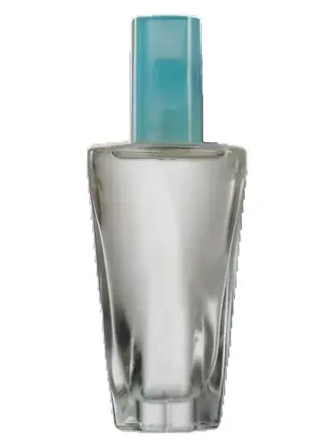 Cyberlink Man by Avon bottle