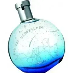 Eau des Merveilles Constellation by Hermes bottle