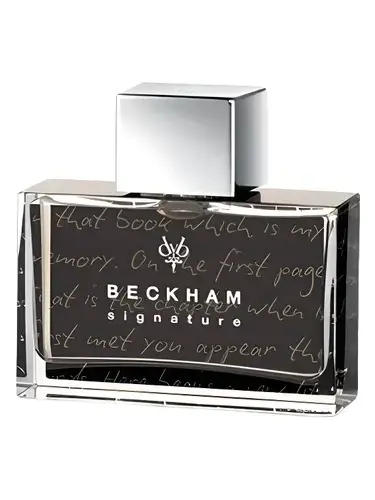Signature Story for Him by David Beckham bottle