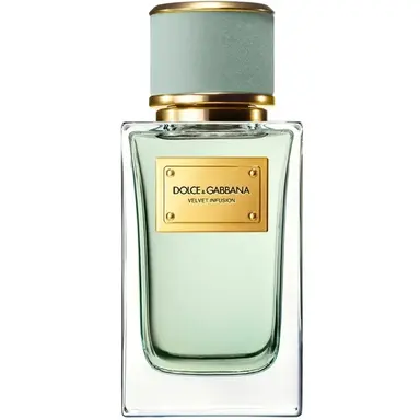 Velvet Infusion by Dolce Gabbana bottle