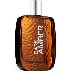 Dark Amber for Men by Bath & Body Works bottle