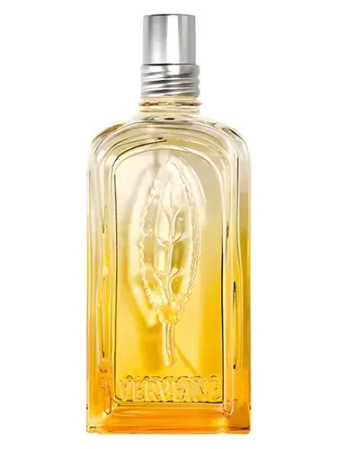 Verveine Agrumes 2020 by L'Occitane en Provence bottle