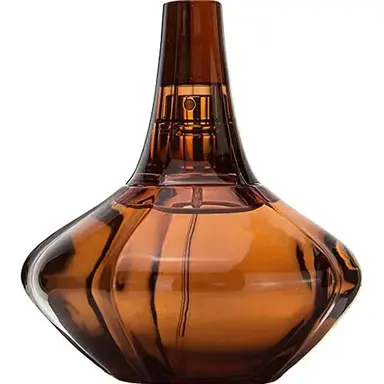 Secret Obsession by Calvin Klein bottle