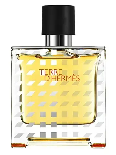 Terre d'Hermes Flacon H 2019 Parfum by Hermes bottle