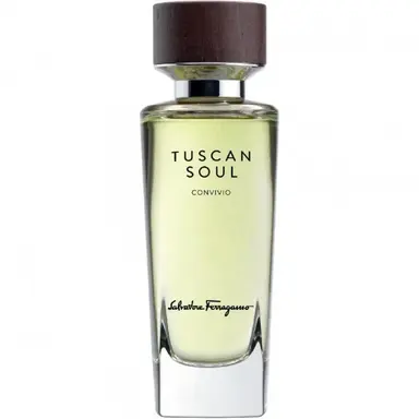 Convivio (2013) by Salvatore Ferragamo bottle