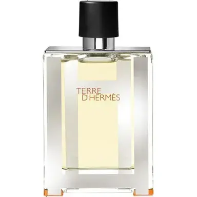Terre d’Hermes Flacon H 2012 by Hermes bottle