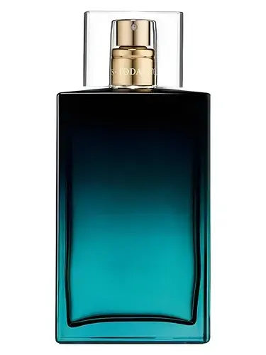 Today Tomorrow Always The Moment Him by Avon bottle