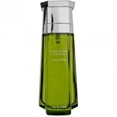 Herrera for Men Sensual Vetiver by Carolina Herrera bottle