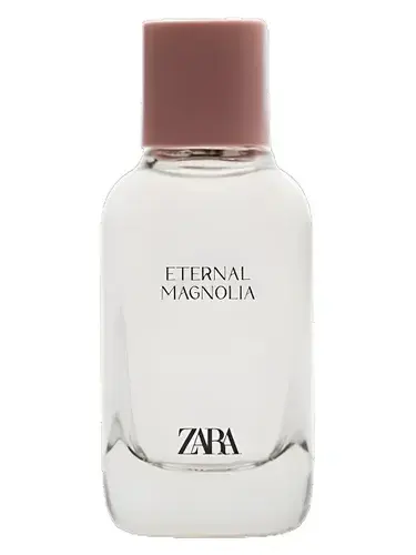 Eternal Magnolia by Zara bottle