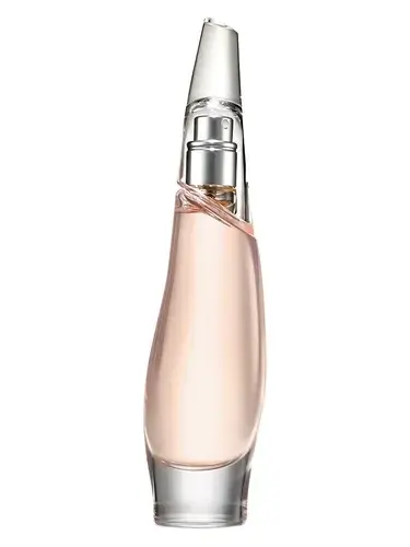 Liquid Cashmere Blush by DKNY bottle