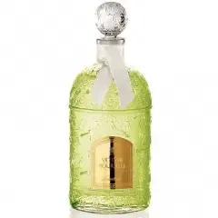 Vetiver by Guerlain bottle