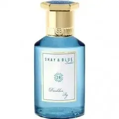 Dandelion Fig by Shay Blue London bottle