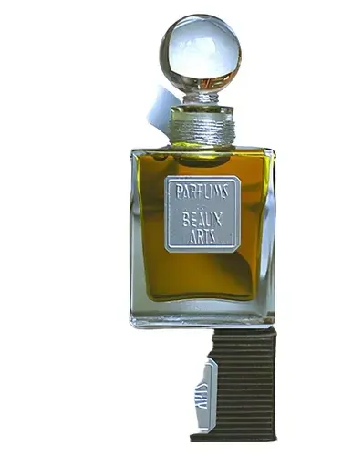 Mahjoun by Dsh Perfumes bottle