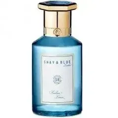 Sicilian Limes by Shay Blue London bottle