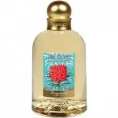 Lune de Miel by Fragonard bottle