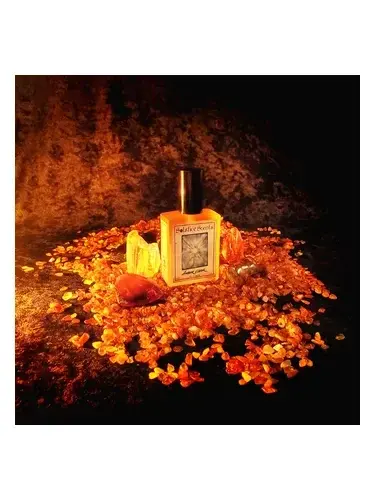 Amber Coeur by Solstice Scents bottle