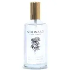 Heliotrope by Molinard bottle