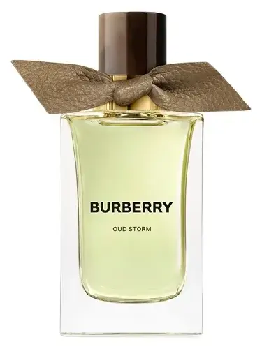 Oud Storm by Burberry bottle