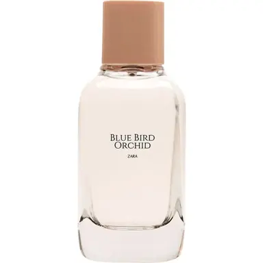 Blue Bird Orchid by Zara bottle