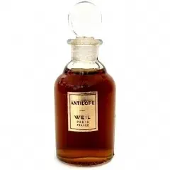 Antilope by Weil bottle