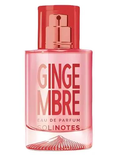Gingembre by Solinotes bottle