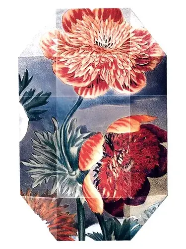 Print Collection Stella 03 (2011) by Stella McCartney bottle