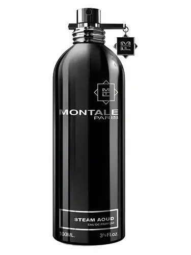 Steam Aoud by Montale bottle