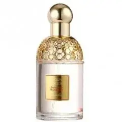 Aqua Allegoria Bouquet Numero 1 by Guerlain bottle