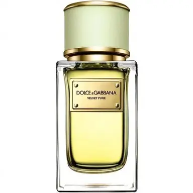 Velvet Pure by Dolce Gabbana bottle
