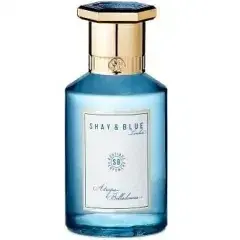 Atropa Belladonna by Shay Blue London