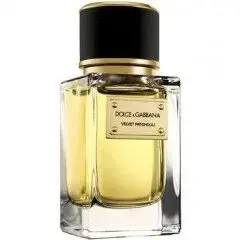 Velvet Patchouli by Dolce Gabbana bottle