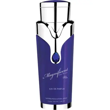 Magnificent pour Homme Blu by Armaf bottle