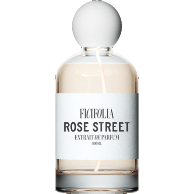 Rose Street by Ficifolia