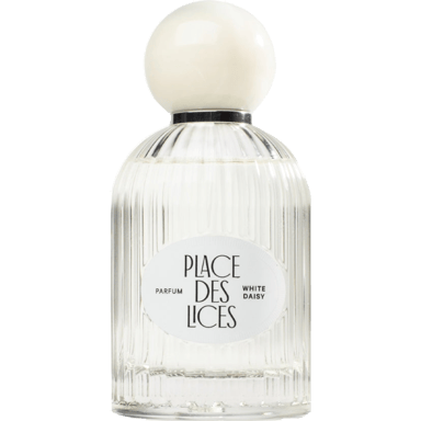 White Daisy by Place Des Lices