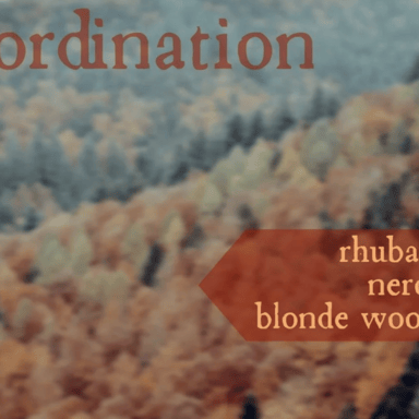 Ordination by Stone & Wit bottle