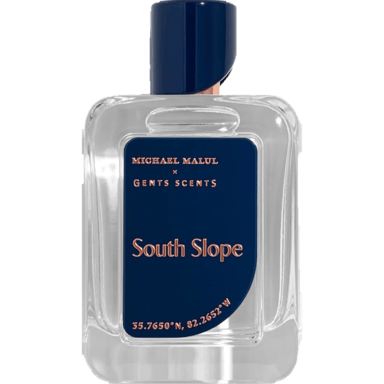 South Slope by Michael Malul
